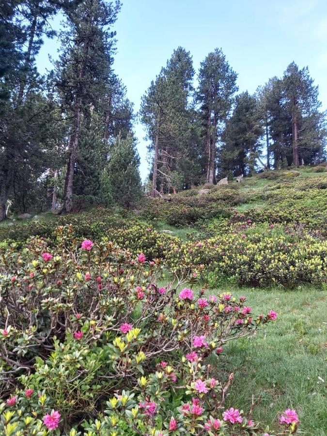 Casa Marcos Daire Benasque Dış mekan fotoğraf